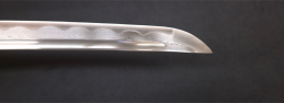 Wakizashi F2